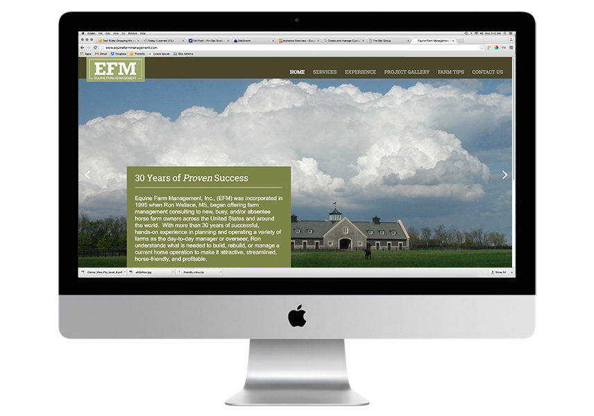 EFM NEW home page